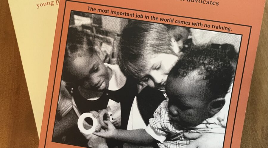 Nothing More Important books by Ros Kane